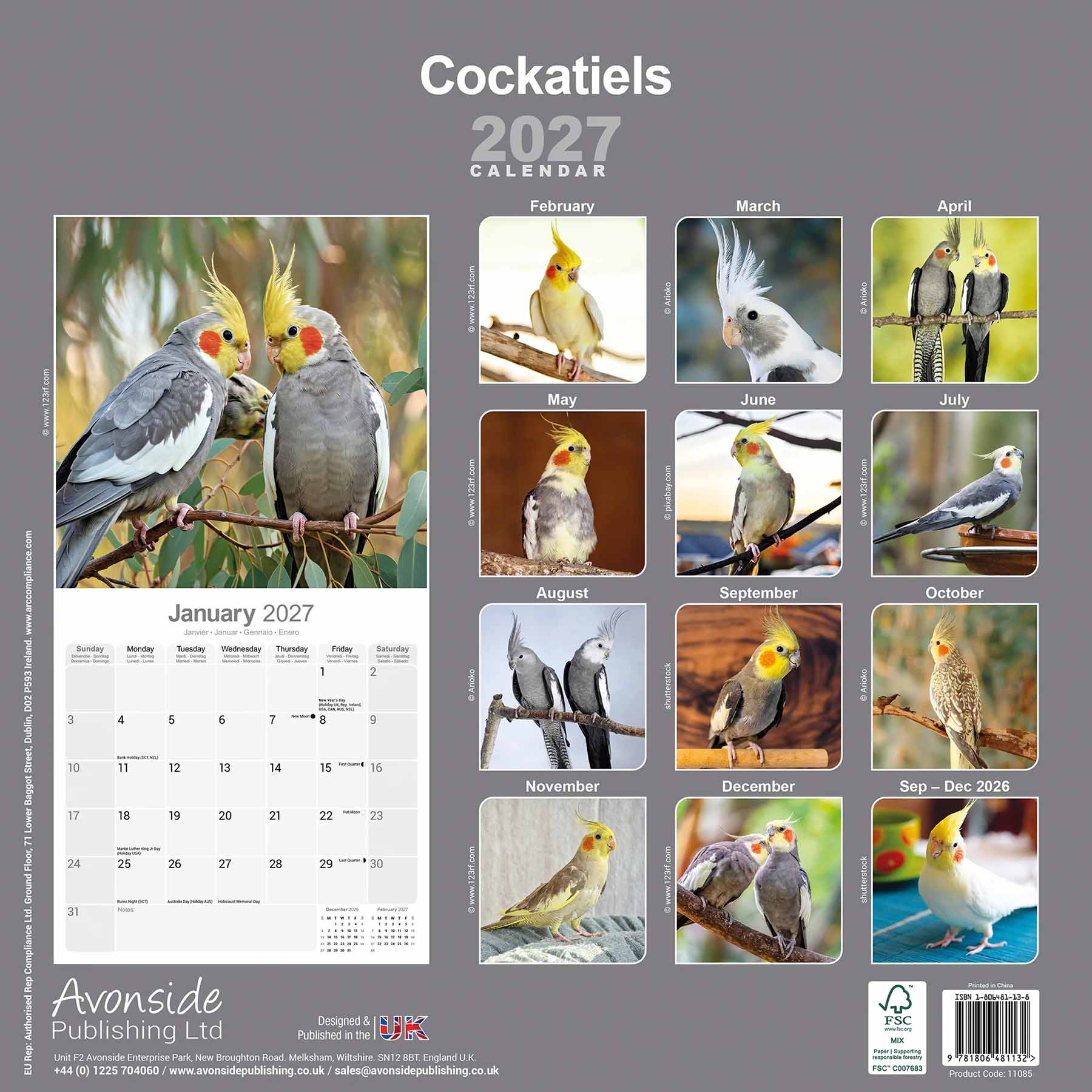 rico-s-futterkiste-nymphensittich-kalender-2027-wandkalender-16-monate image 2