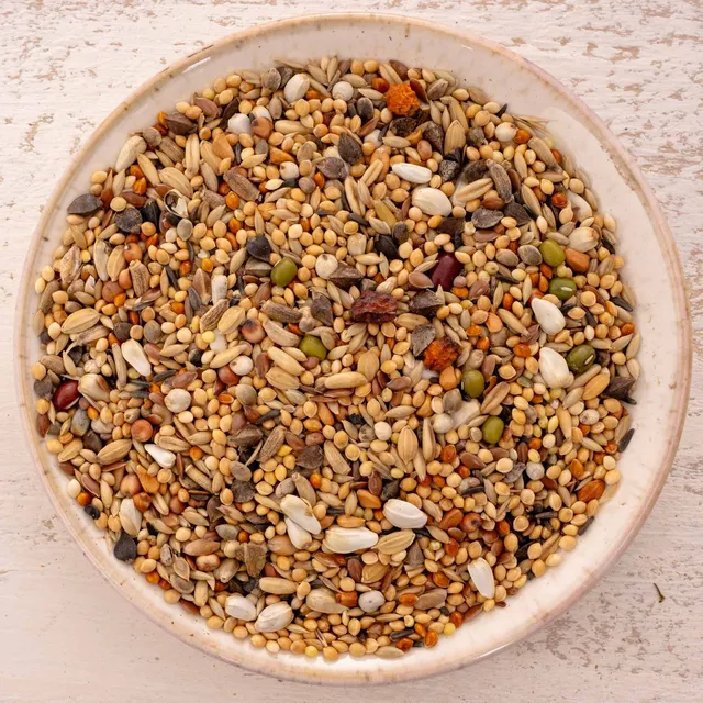 rico-s-futterkiste-gro-sittich-spezial-3-vogelfutter-1-kg-ohne-sonnenblumen image 1