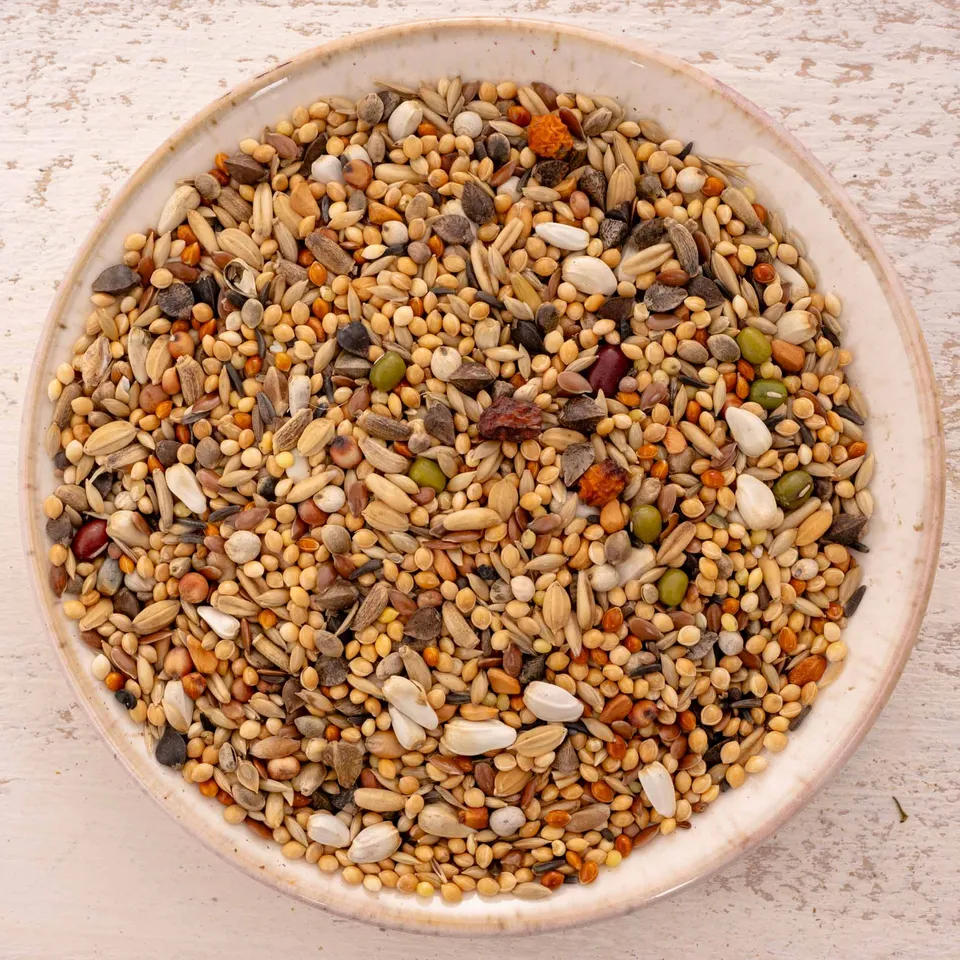 rico-s-futterkiste-gro-sittich-spezial-3-vogelfutter-1-kg-ohne-sonnenblumen image 1