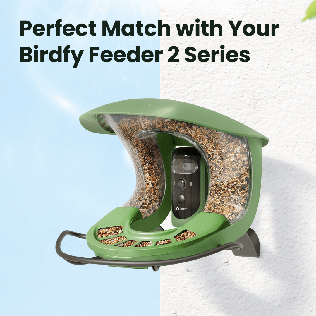 birdfy-metal-seed-guard-vogelfutterschutz-feeder-2-metall image 4