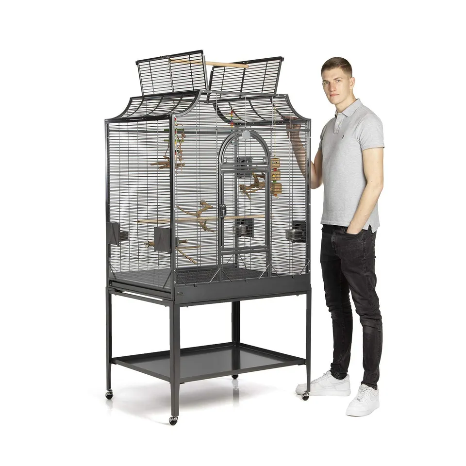 montana-madeira-iii-vogelk-fig-antik-f-r-sittiche-90x70x170-cm image 1