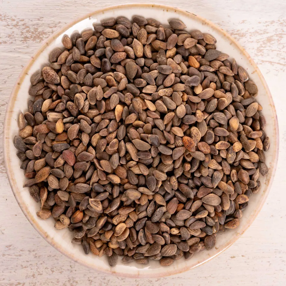 rico-s-futterkiste-baumsaat-vogelfutter-100-g-kiefernsaat image 1
