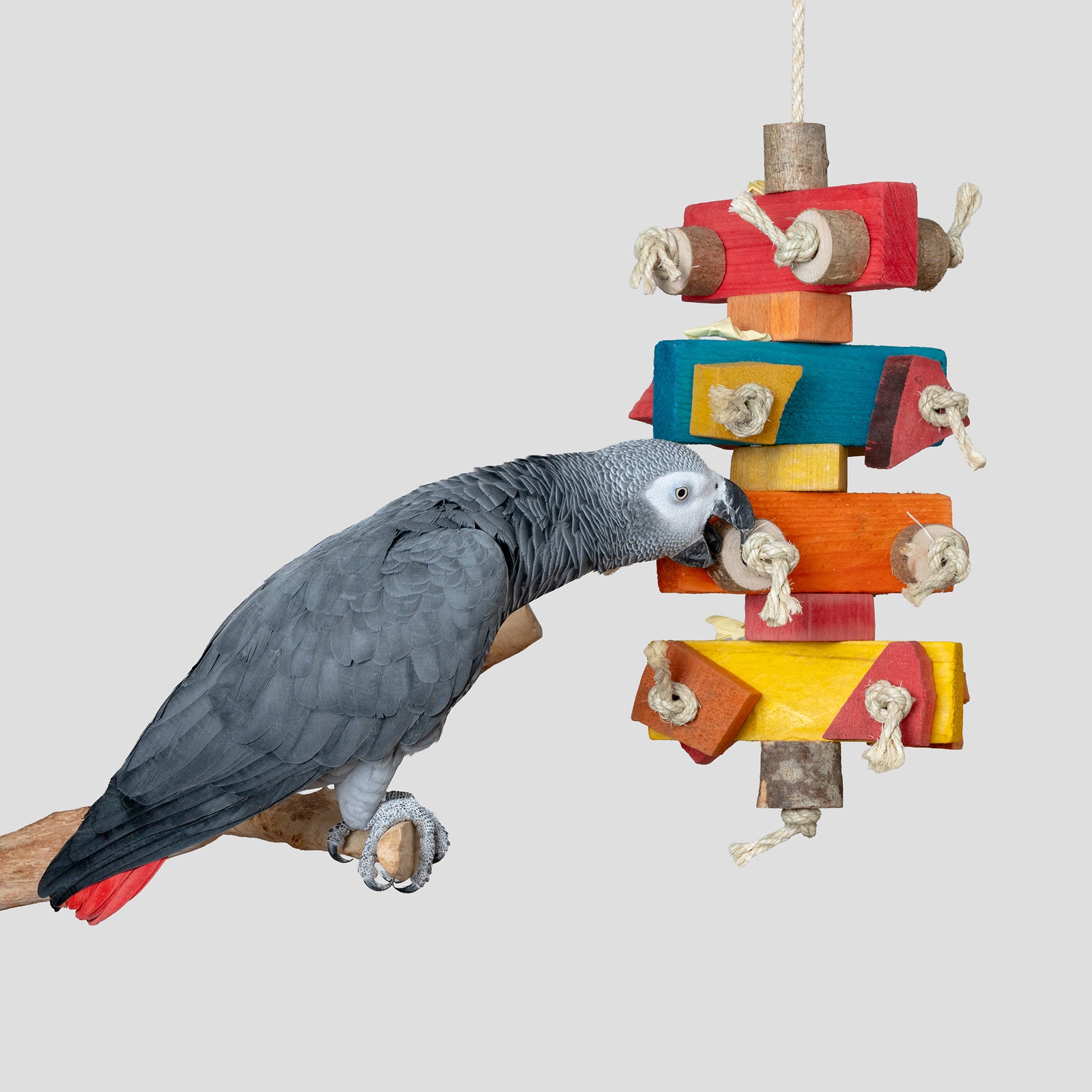 rico-s-futterkiste-kunterbunt-papageienspielzeug-sisal-holz image 3