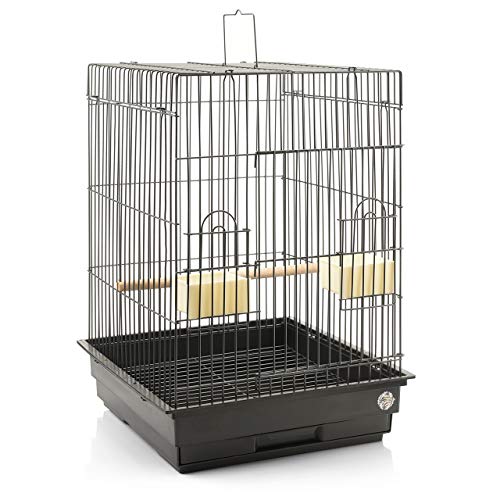 montana-eos-transportk-fig-44x44x68-antik-papageien image 7