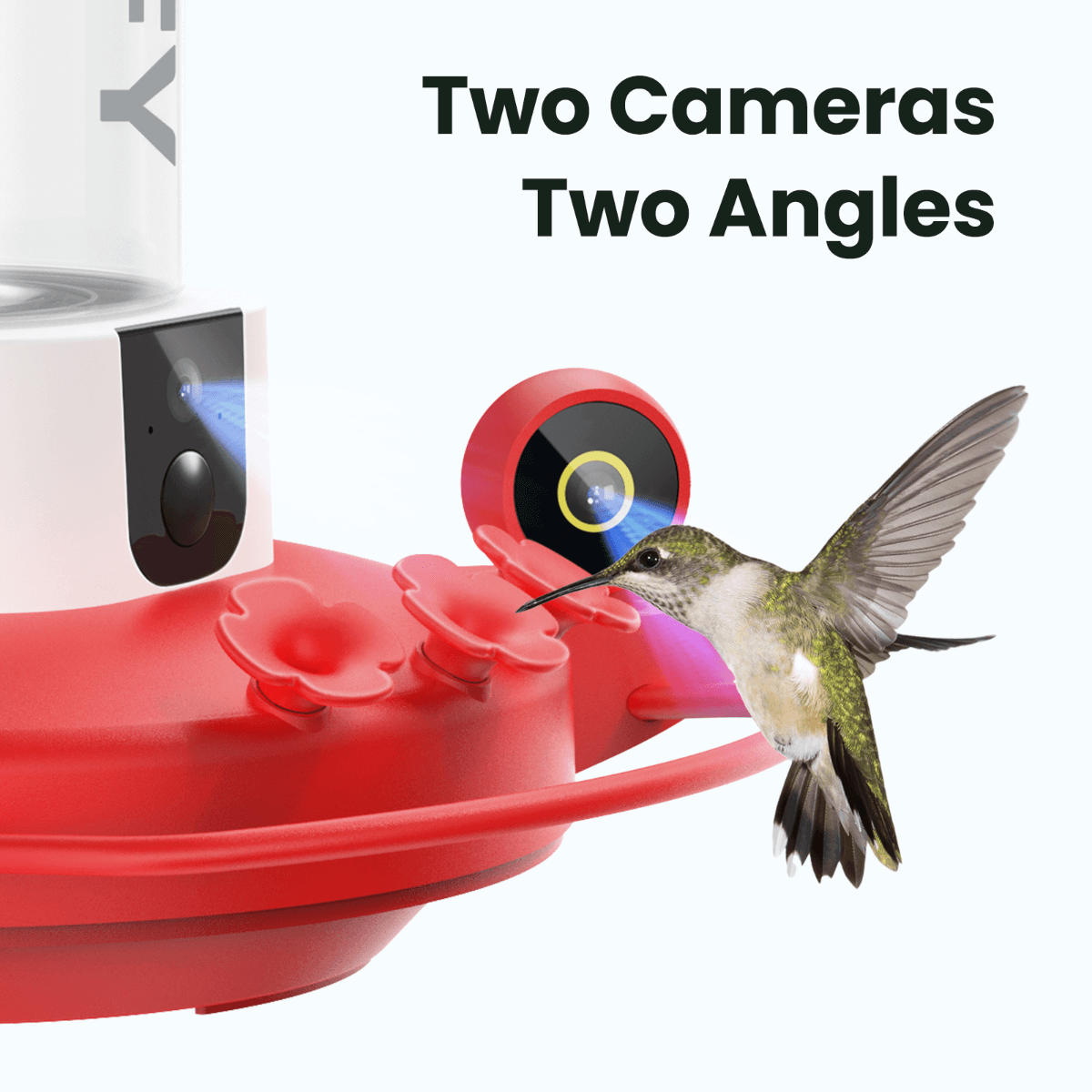 birdfy-hum-feeder-duo-kolibri-futterspender-2k-1-jahr-plus image 4