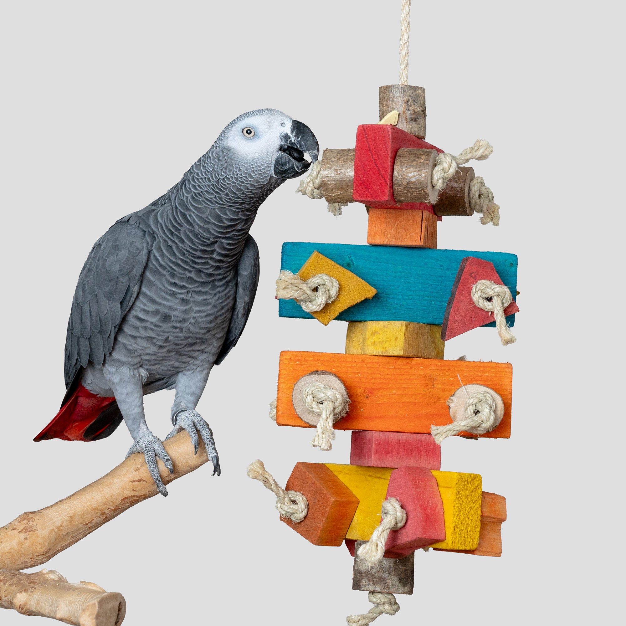 rico-s-futterkiste-kunterbunt-papageienspielzeug-sisal-holz image 2
