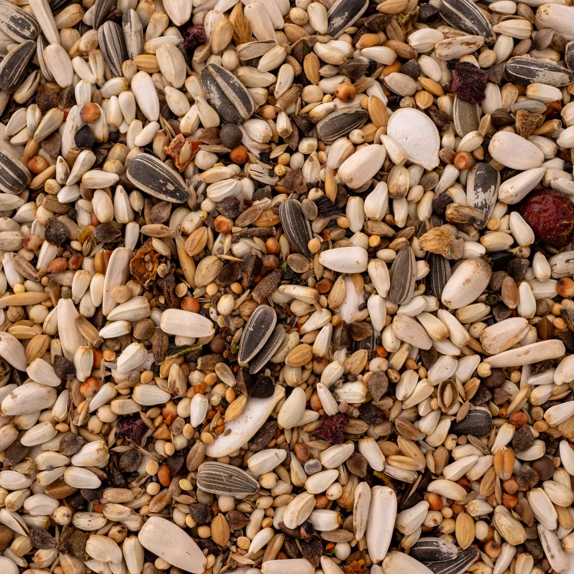 rico-s-futterkiste-futtermittel-edelpapageifutter-1-kg-mit-gem-se image 3