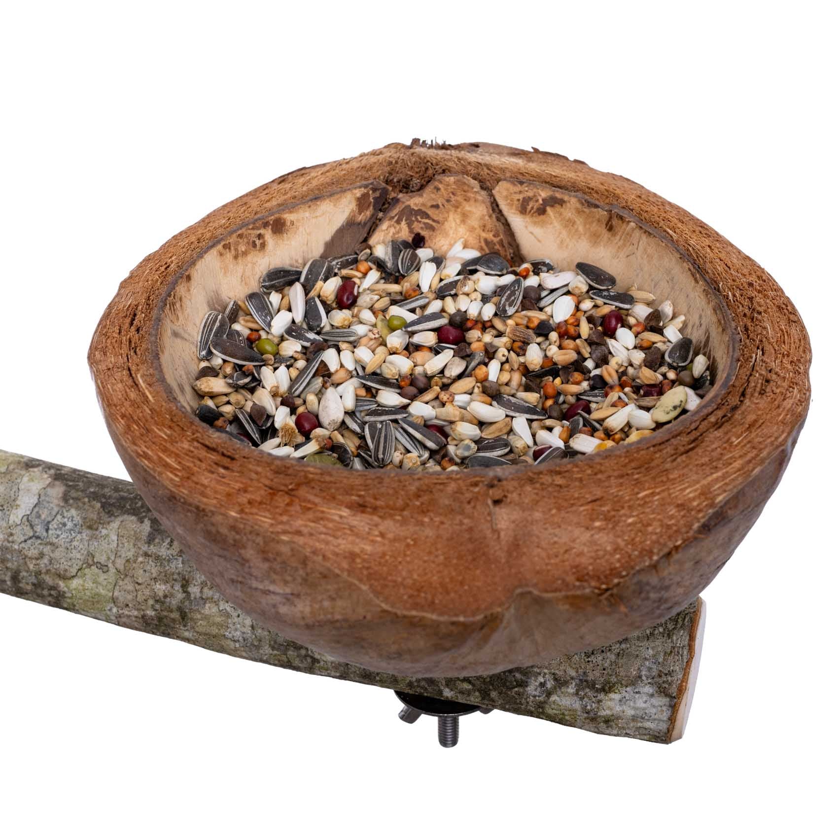 rico-s-futterkiste-sitzast-kokosnuss-futterschale-papagei-holz image 3