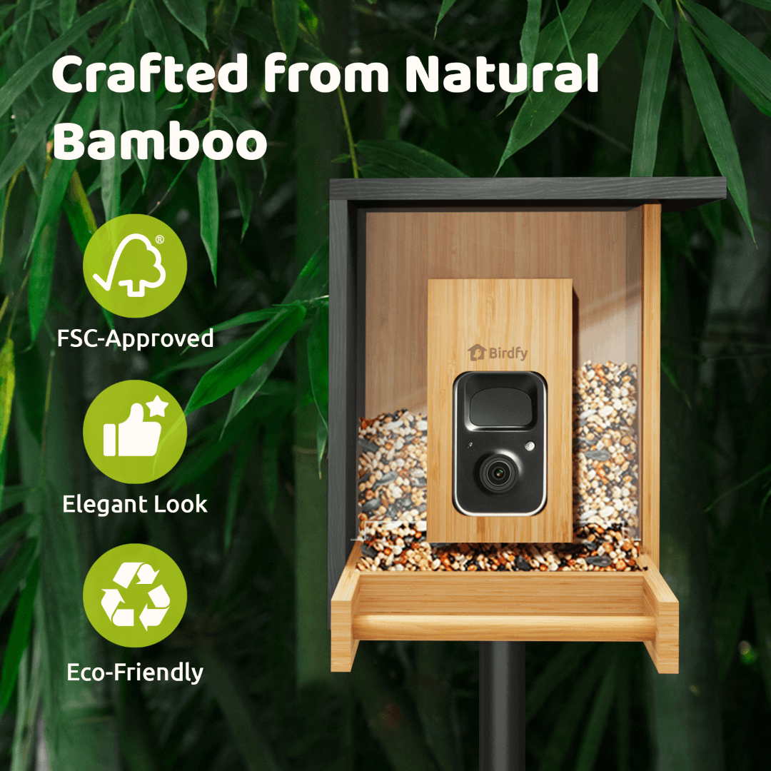 birdfy-feeder-bamboo-mini-vogelfutterhaus-kamera-plus-1-jahr image 3
