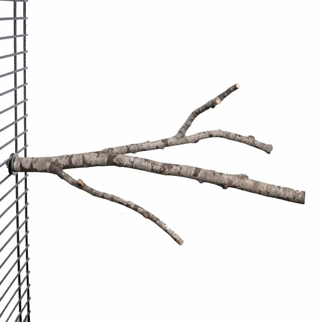 sitzast-verzweigt-mittel-natur-sitzstange-sittich-40-50cm image 1