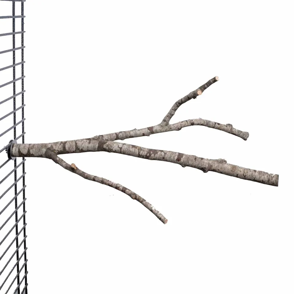 sitzast-verzweigt-mittel-natur-sitzstange-sittich-40-50cm image 1