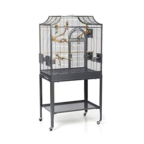 montana-madeira-i-vogelk-fig-antik-69x45cm-mit-freisitz image 8