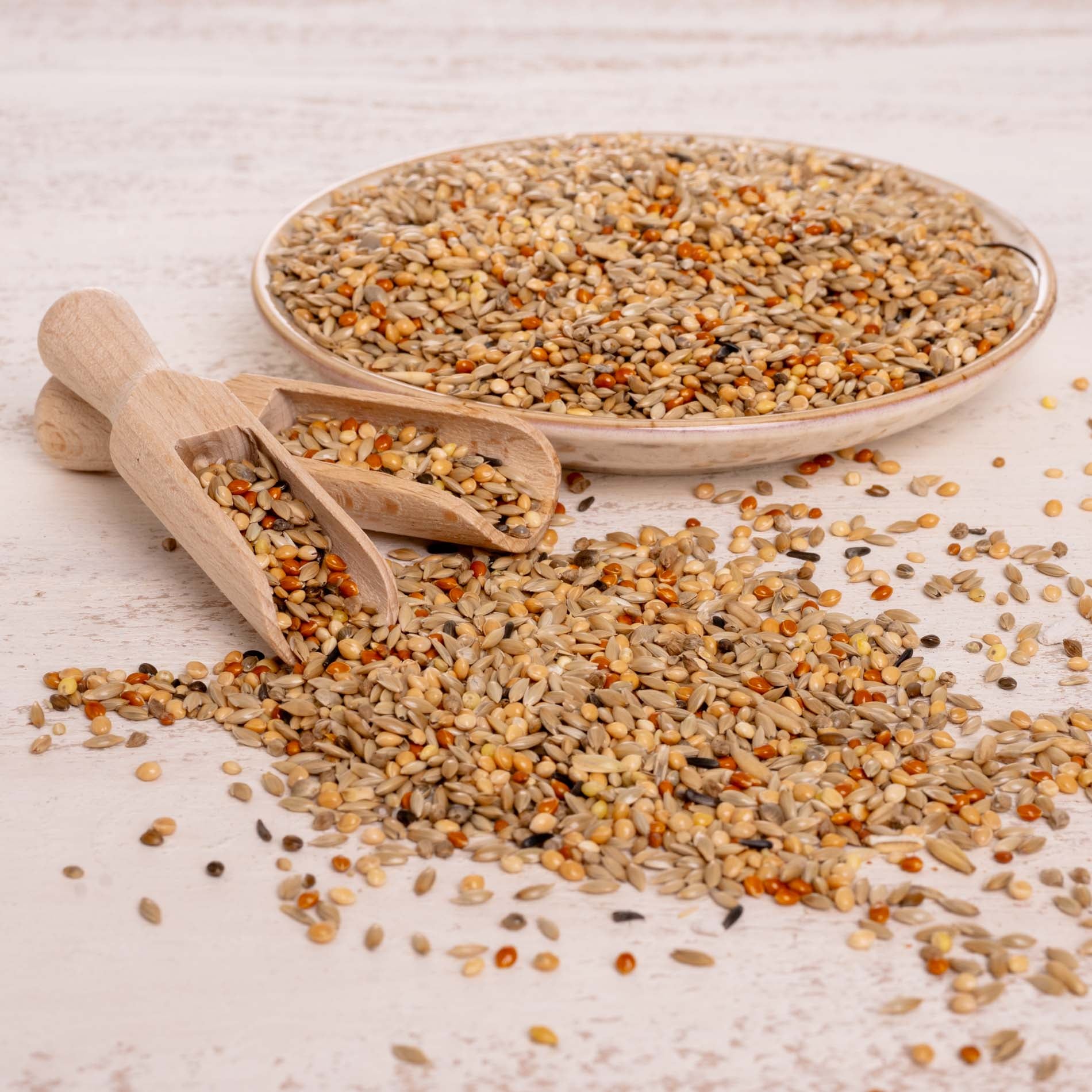 rico-s-futterkiste-spezial-1-wellensittichfutter-1-kg-naturell image 4