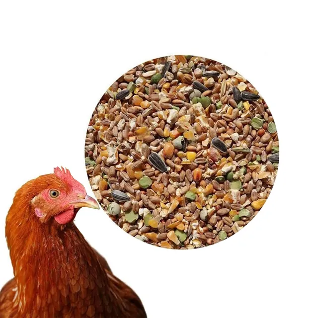 klasebo-h-hnerfutter-k-rnerfutter-plus-25-kg-gvo-frei image 1