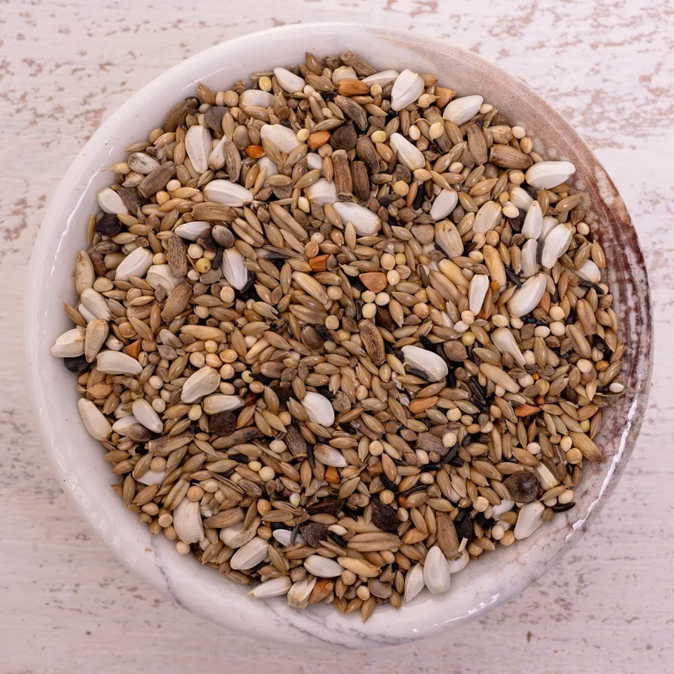 rico-s-futterkiste-agaporniden-spezial-vogelfutter-1-kg-23-saaten image 1