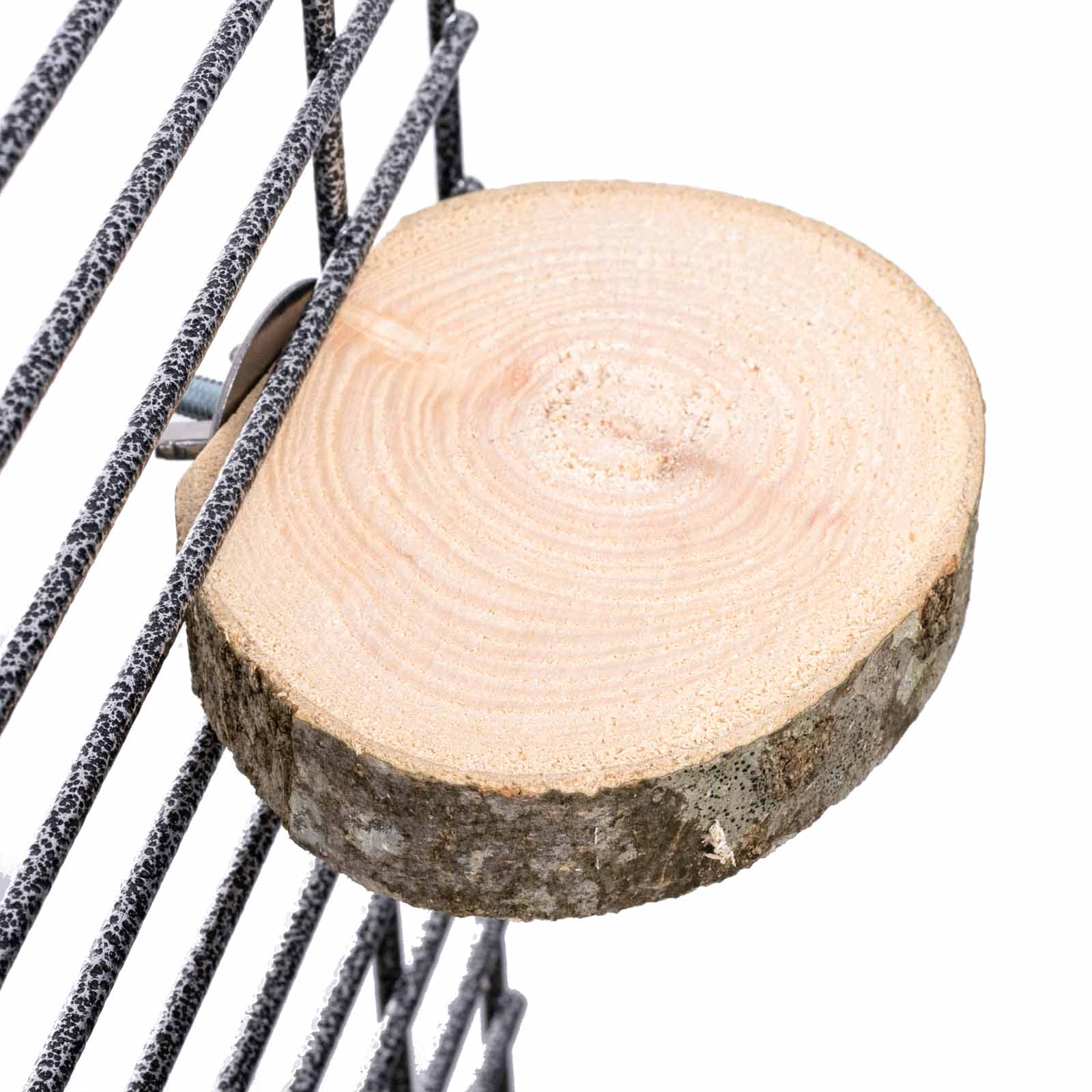 rico-s-futterkiste-baumscheiben-sitzbrett-volierenzubeh-r-holz image 2
