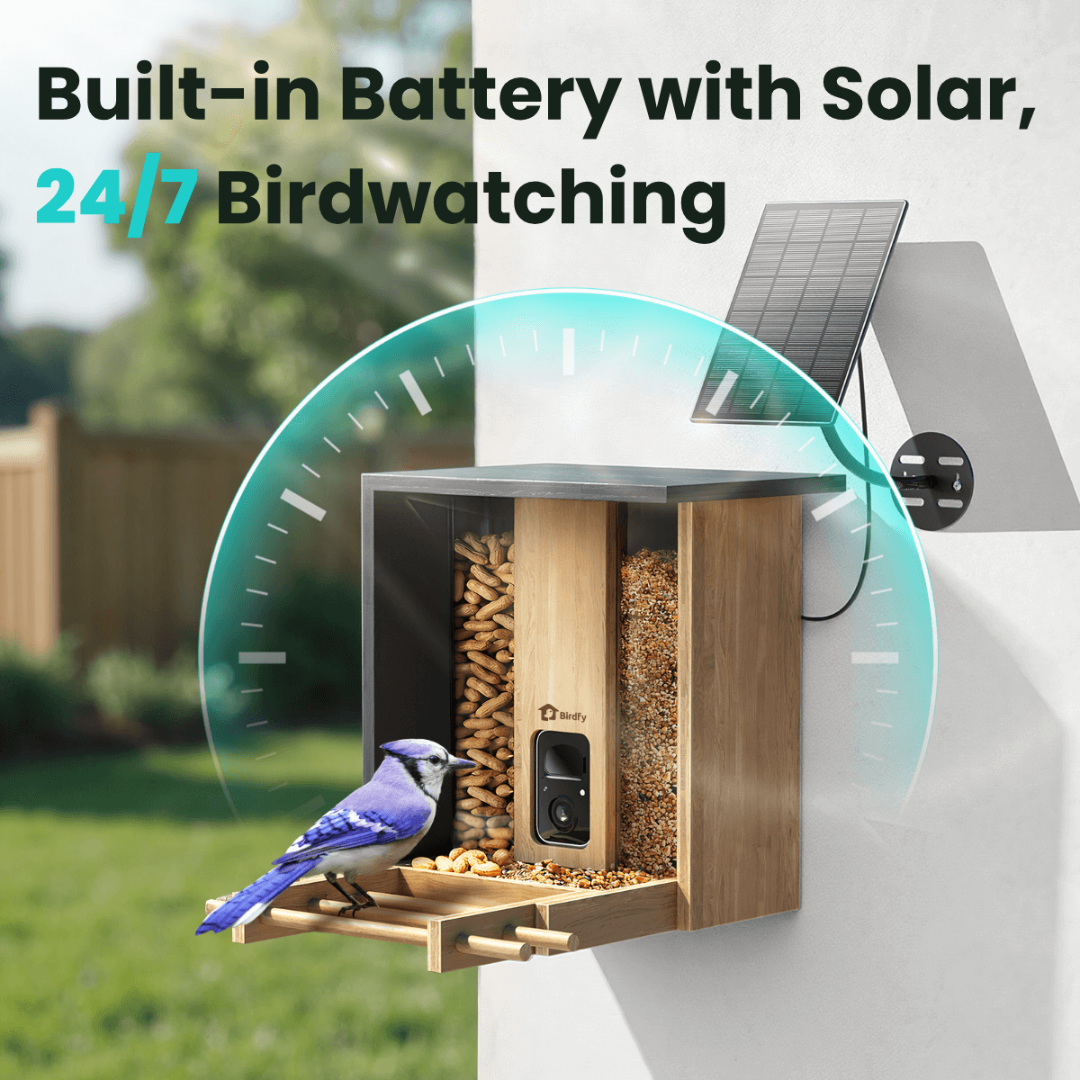 birdfy-bamboo-vogelfutterhaus-mit-kamera-solar-bambus image 6