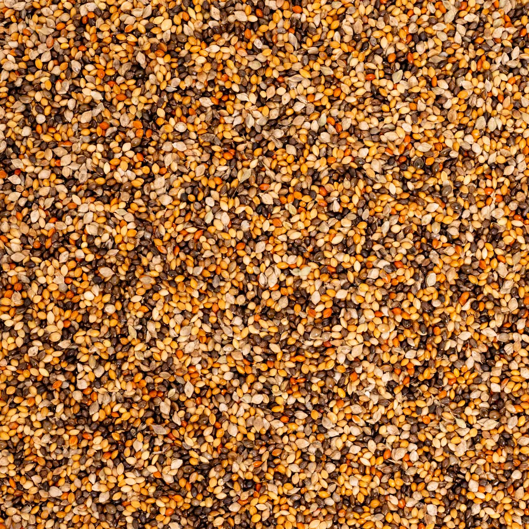 rico-s-futterkiste-mohairhirse-gelb-einzelsaat-500-g-vitamine image 2