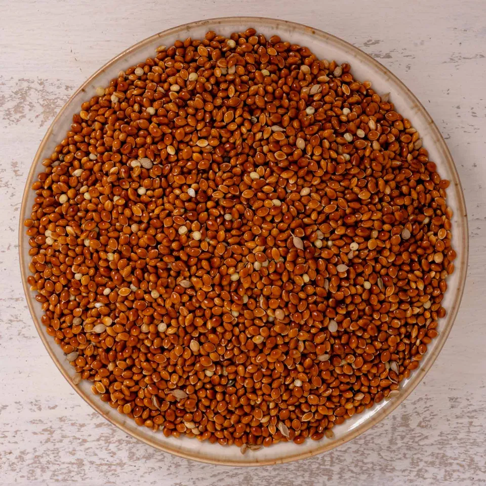 rico-s-rote-hirse-lose-einzelsaat-vogelfutter-500-g-energie image 1