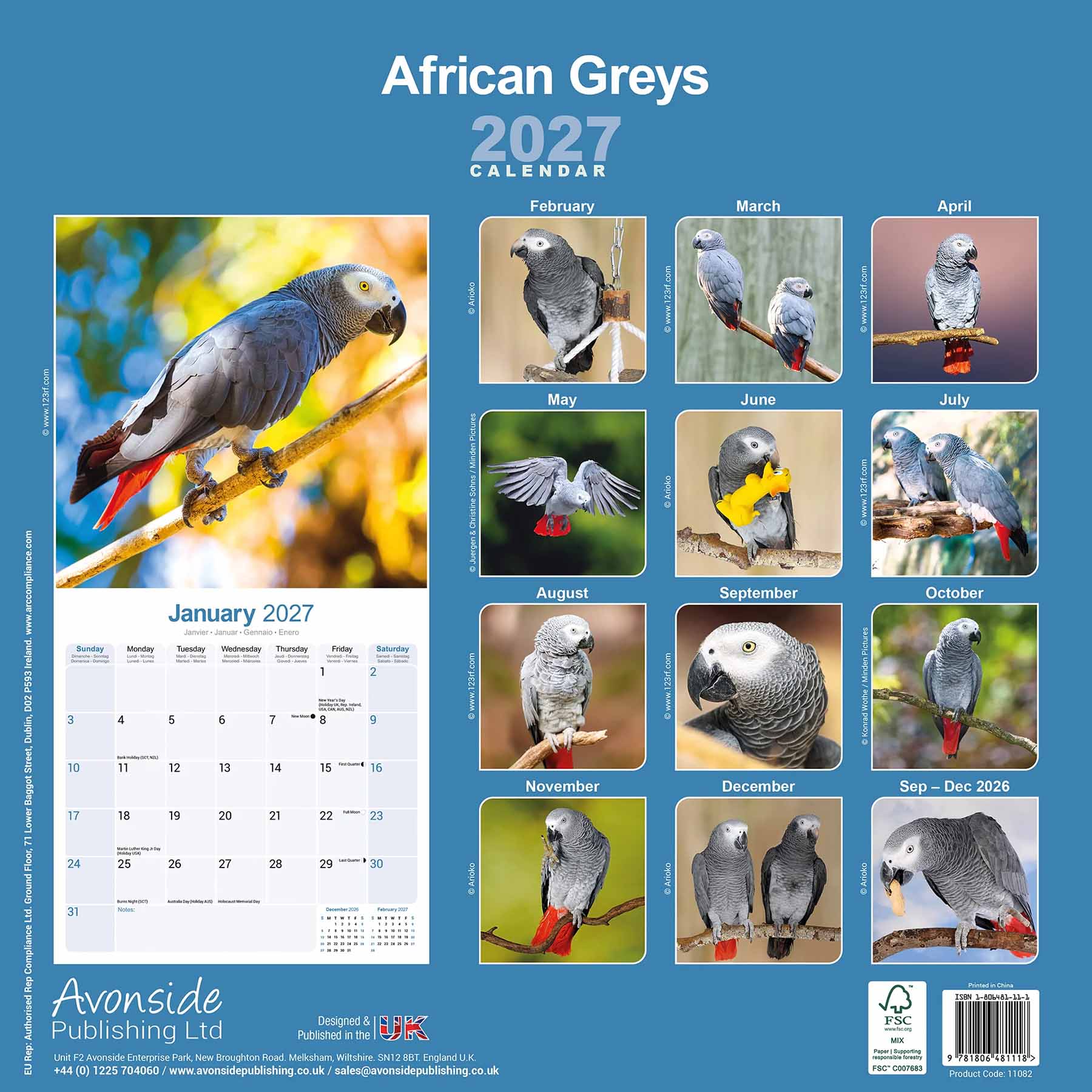 rico-s-futterkiste-kalender-graupapagei-2027-wandkalender-16-monate image 2