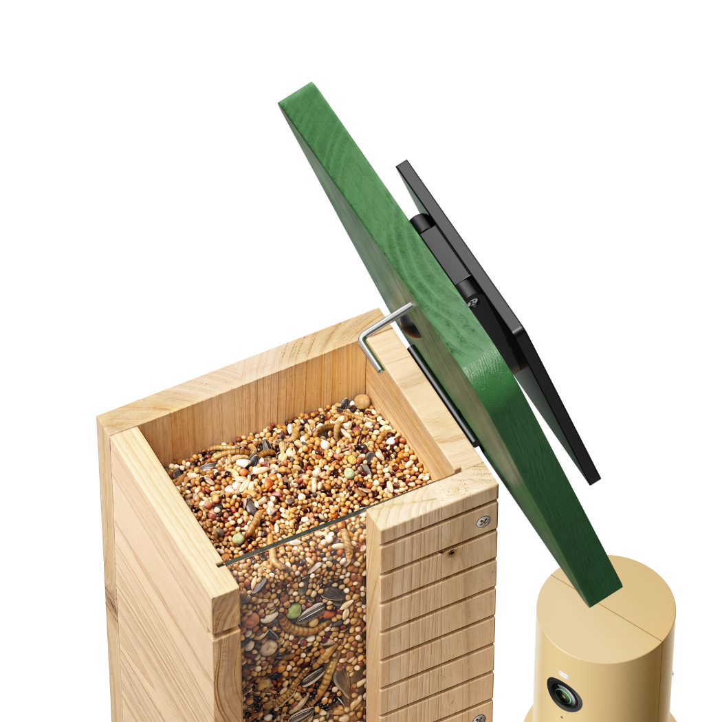 birdfy-feeder-wood-gift-set-vogelhaus-kamera-solar-holz image 3