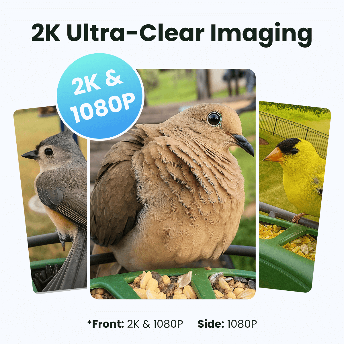 birdfy-feeder-2-duo-vogelhaus-mit-kamera-2k-triple-lens-solar image 4