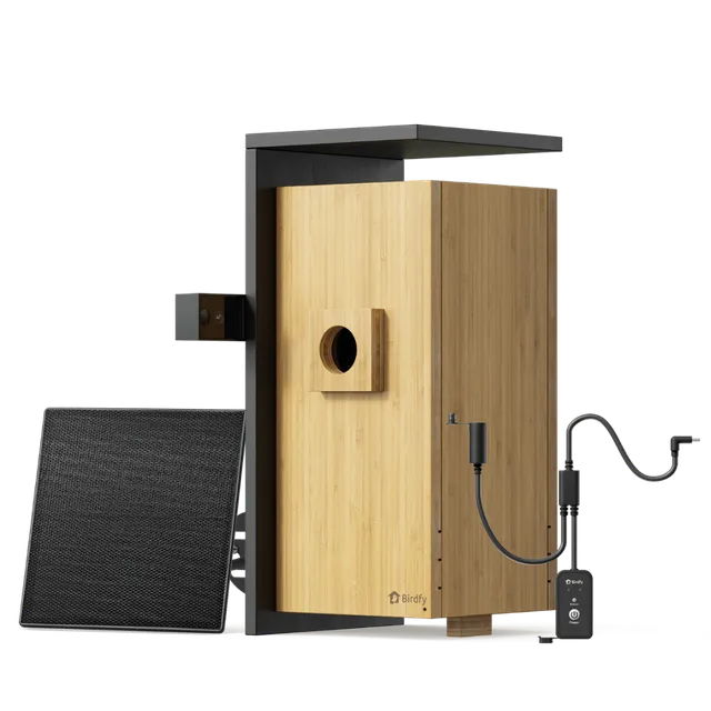 birdfy-nest-duo-nistkasten-mit-2-kameras-bambus-2mp image 1