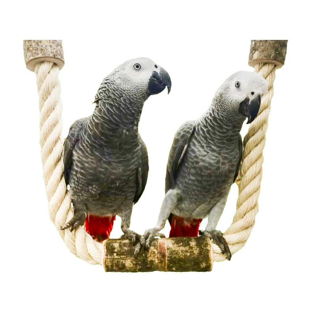 rico-s-futterkiste-sisalschaukel-single-papageienschaukel-35-cm image 3