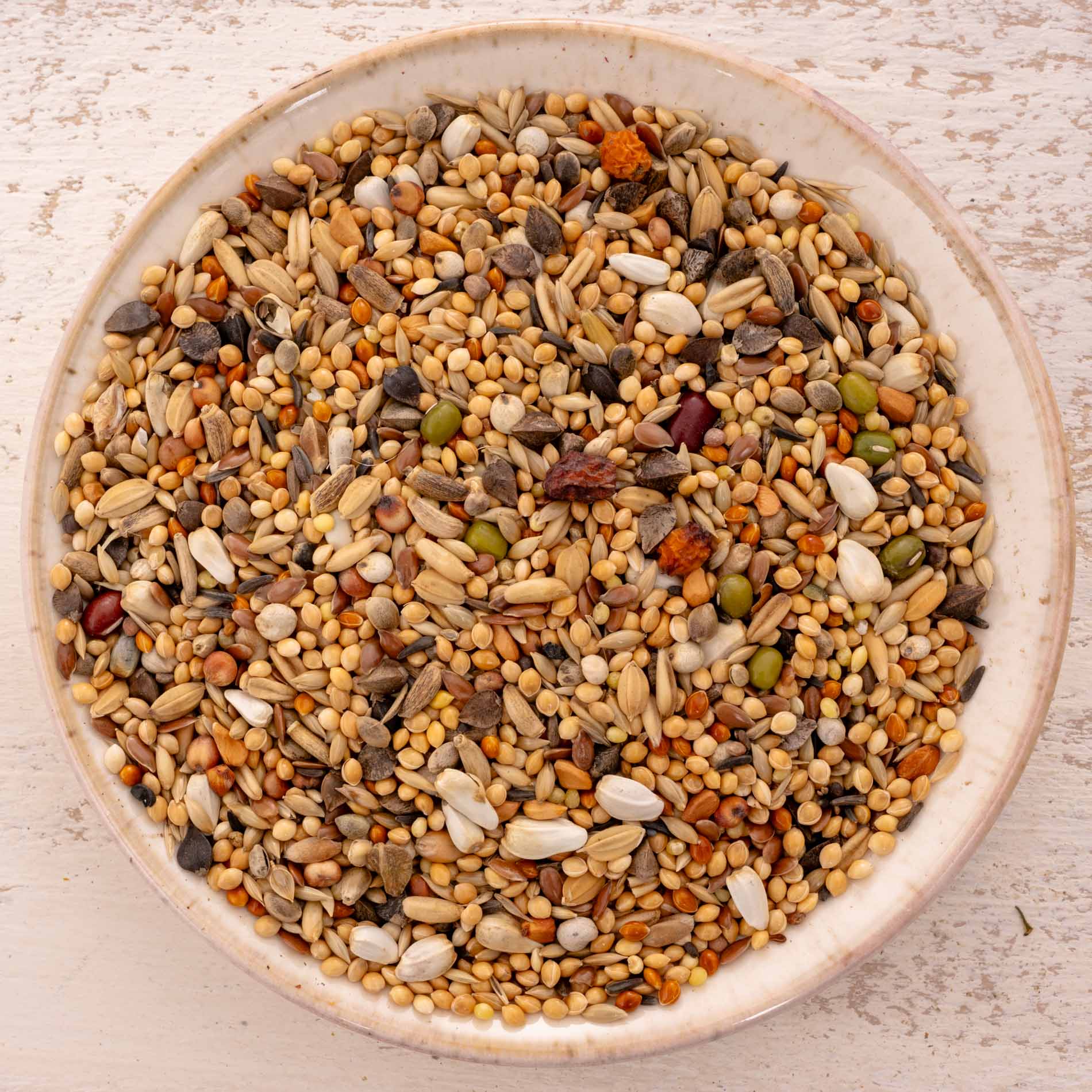rico-s-futterkiste-gro-sittich-spezial-3-vogelfutter-1-kg-ohne-sonnenblumen image 1