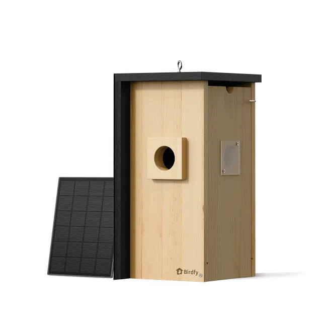 birdfy-nest-nistkasten-mit-kamera-holz-2k-nachtsicht image 1
