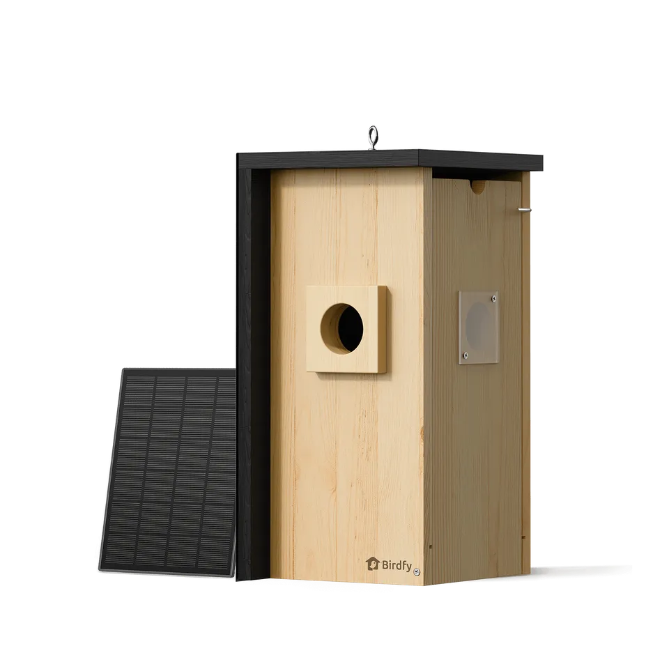 birdfy-nest-nistkasten-mit-kamera-holz-2k-nachtsicht image 1