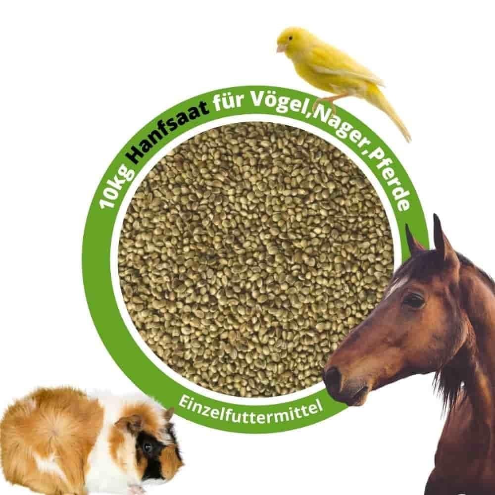 klasebo-vogelfutter-hanfsaat-10kg-f-r-v-gel-nager-pferde image 2