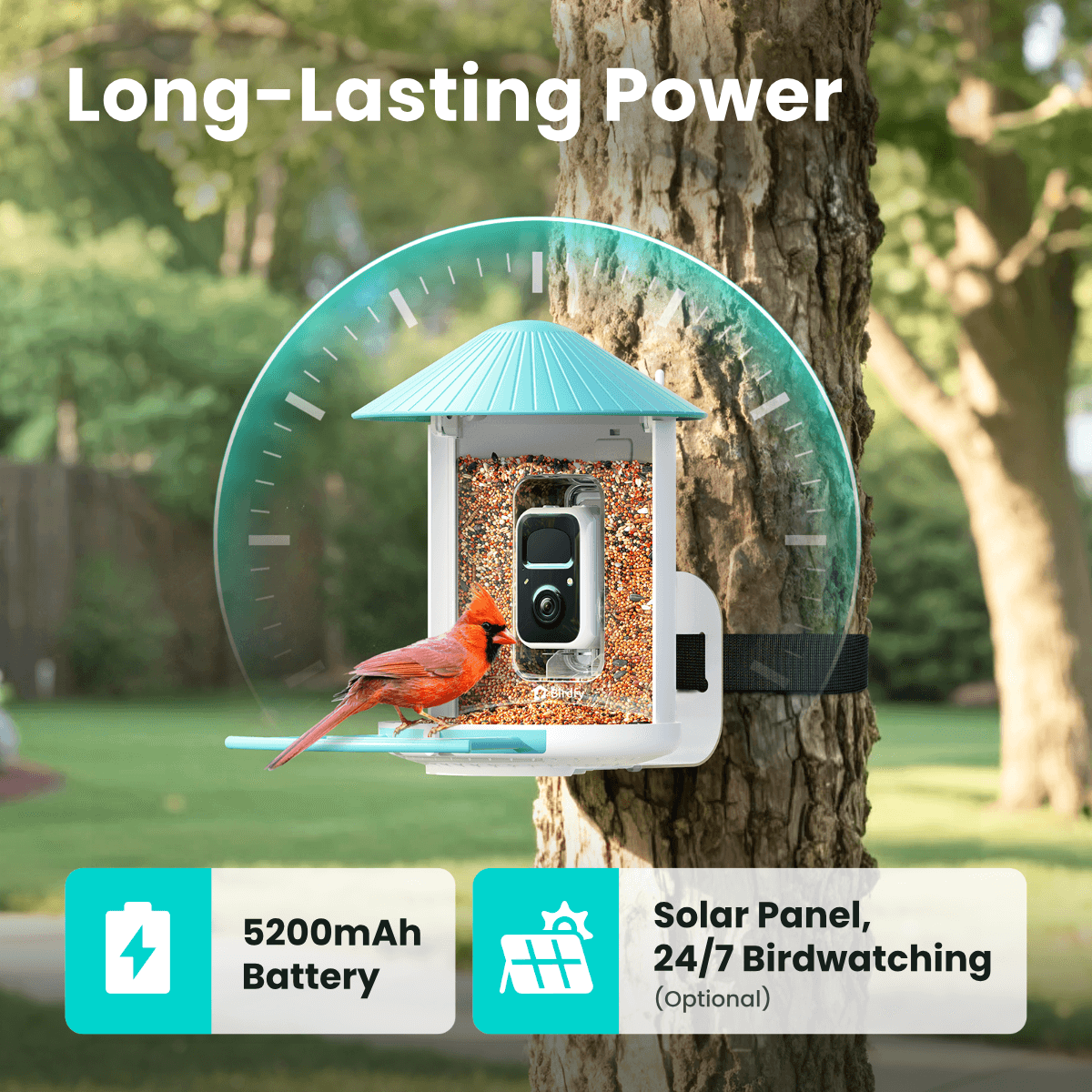 birdfy-feeder-standard-kit-futterstation-mit-kamera-solar-2k image 7
