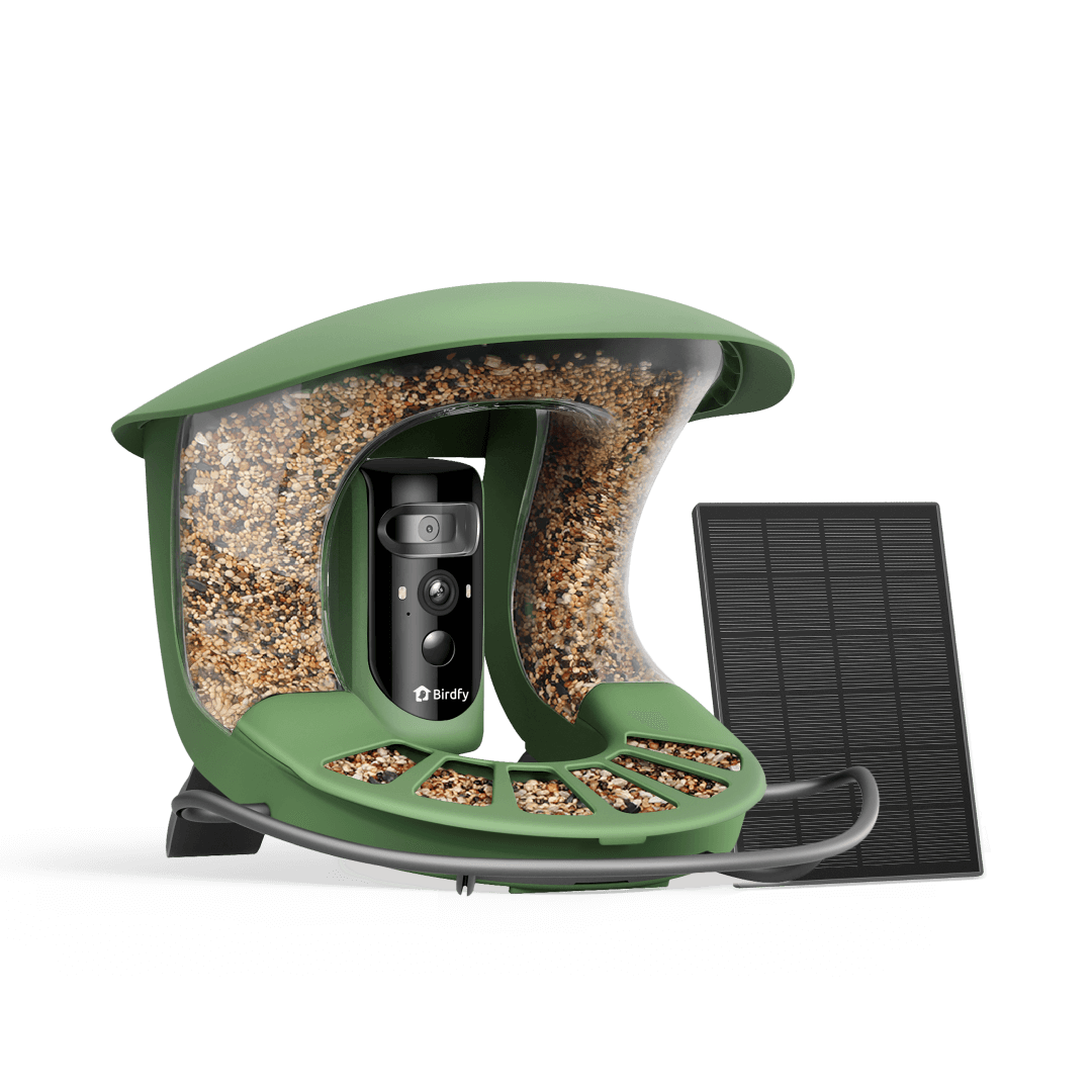 birdfy-feeder-2-pro-vogelhaus-mit-kamera-2k-dual-lens-solar image 1