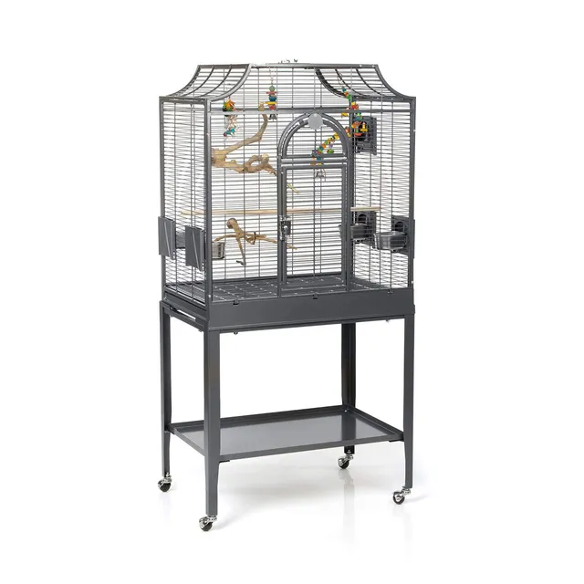 montana-madeira-i-vogelk-fig-antik-69x45cm-mit-freisitz image 1