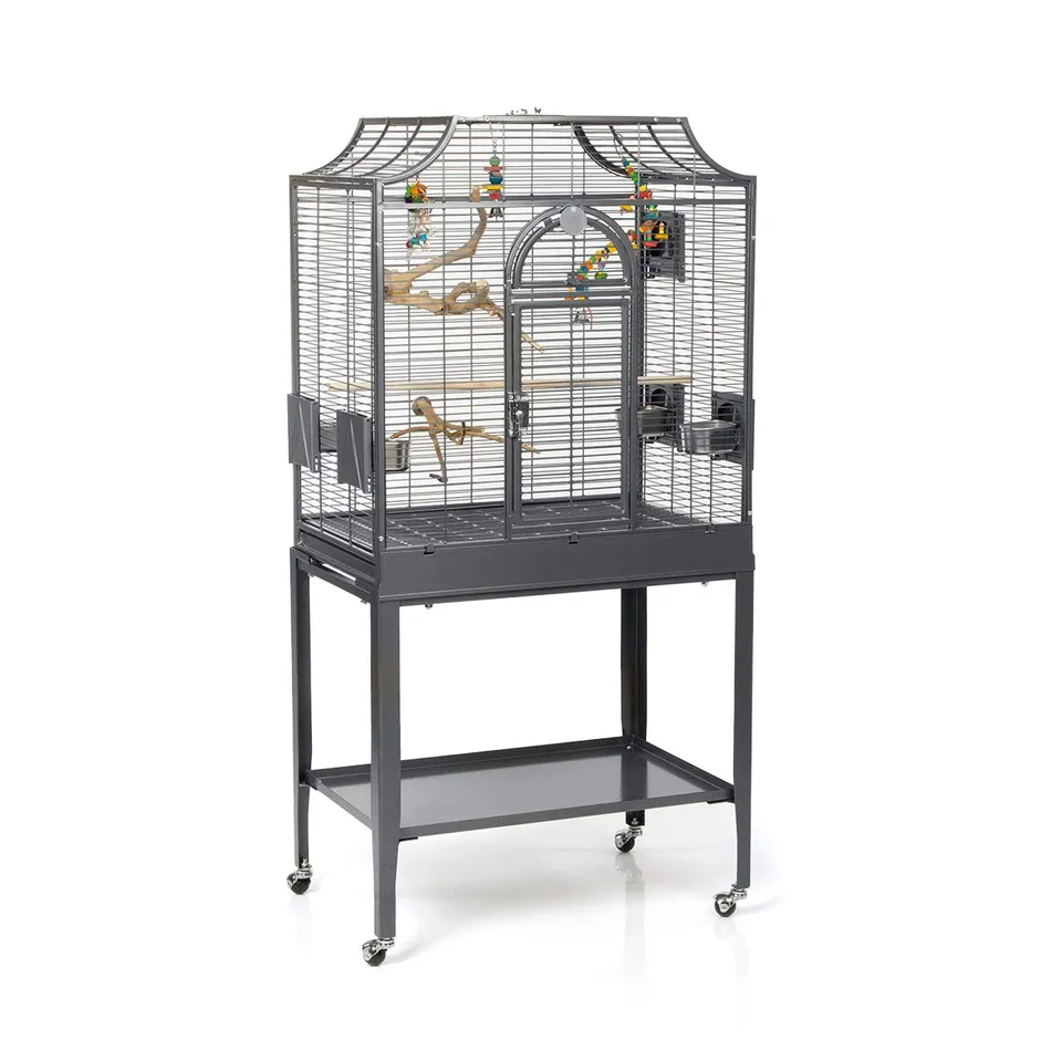 montana-madeira-i-vogelk-fig-antik-69x45cm-mit-freisitz image 1