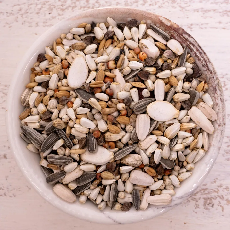 rico-s-futterkiste-papageienfutter-kleine-papageien-k-rnermischung-1-kg image 1