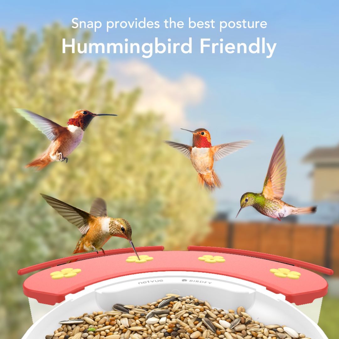 birdfy-hummee-extension-kolibri-aufsatz-futterstation-zubeh-r image 3