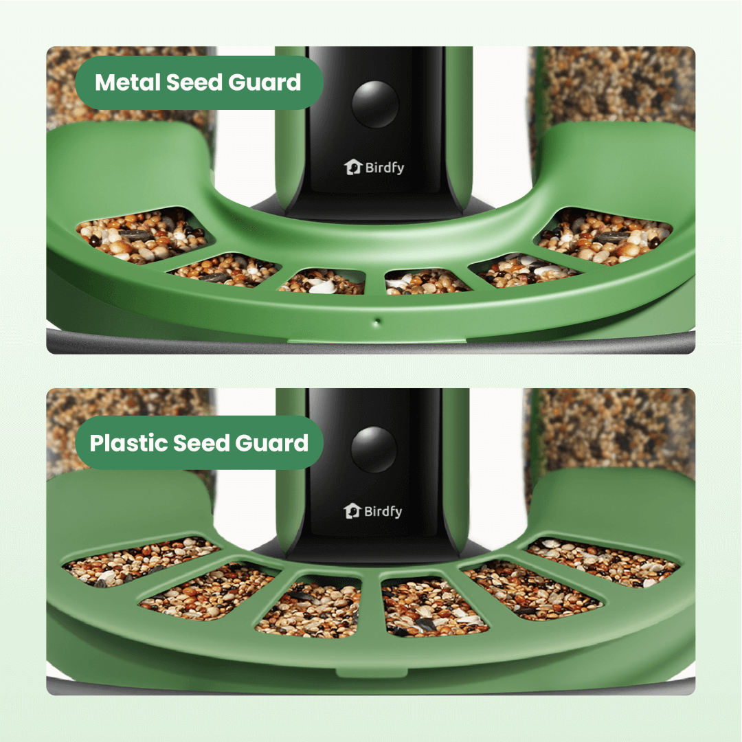 birdfy-metal-seed-guard-vogelfutterschutz-feeder-2-metall image 3