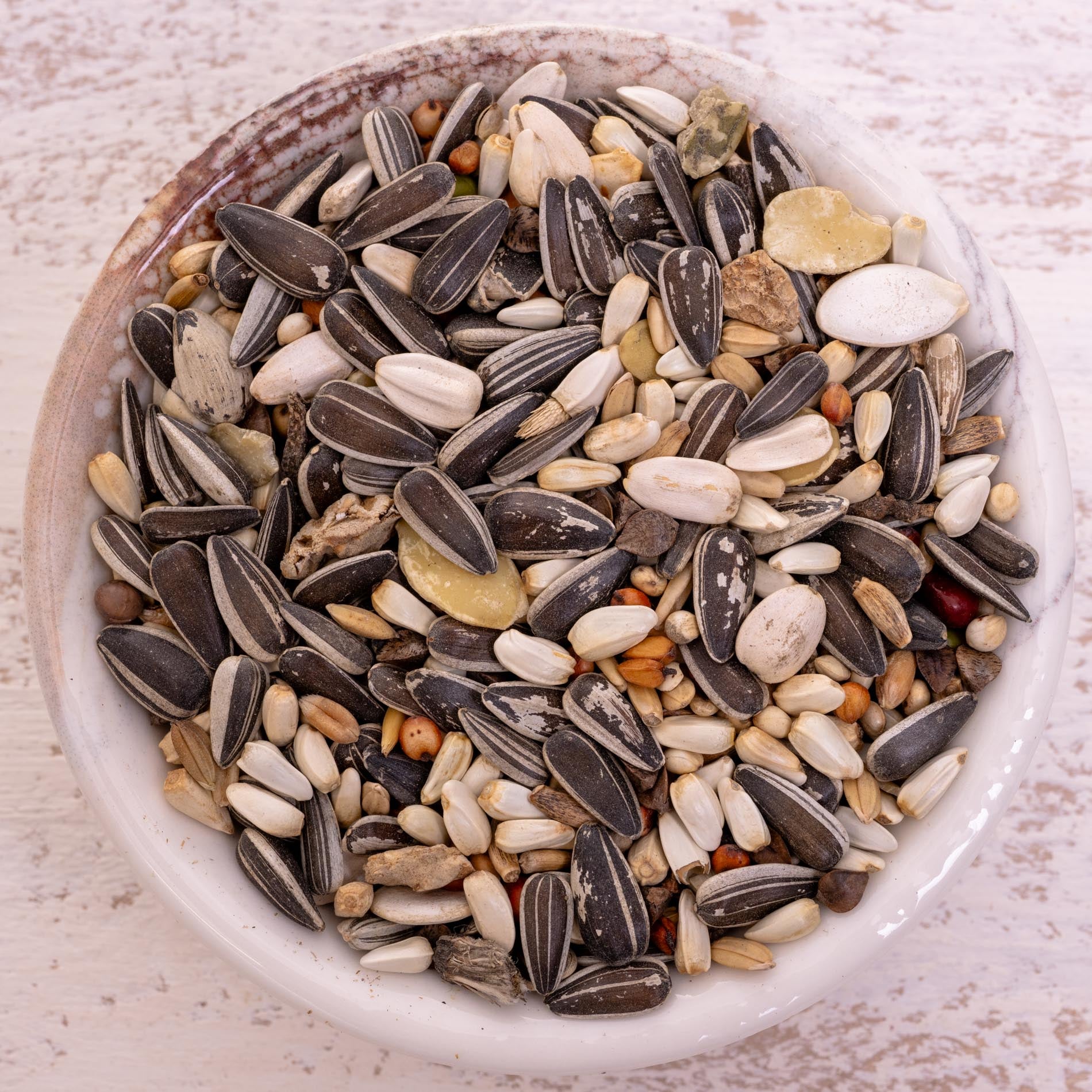 rico-s-futterkiste-graupapagei-spezial-2-papageienfutter-1-kg image 1
