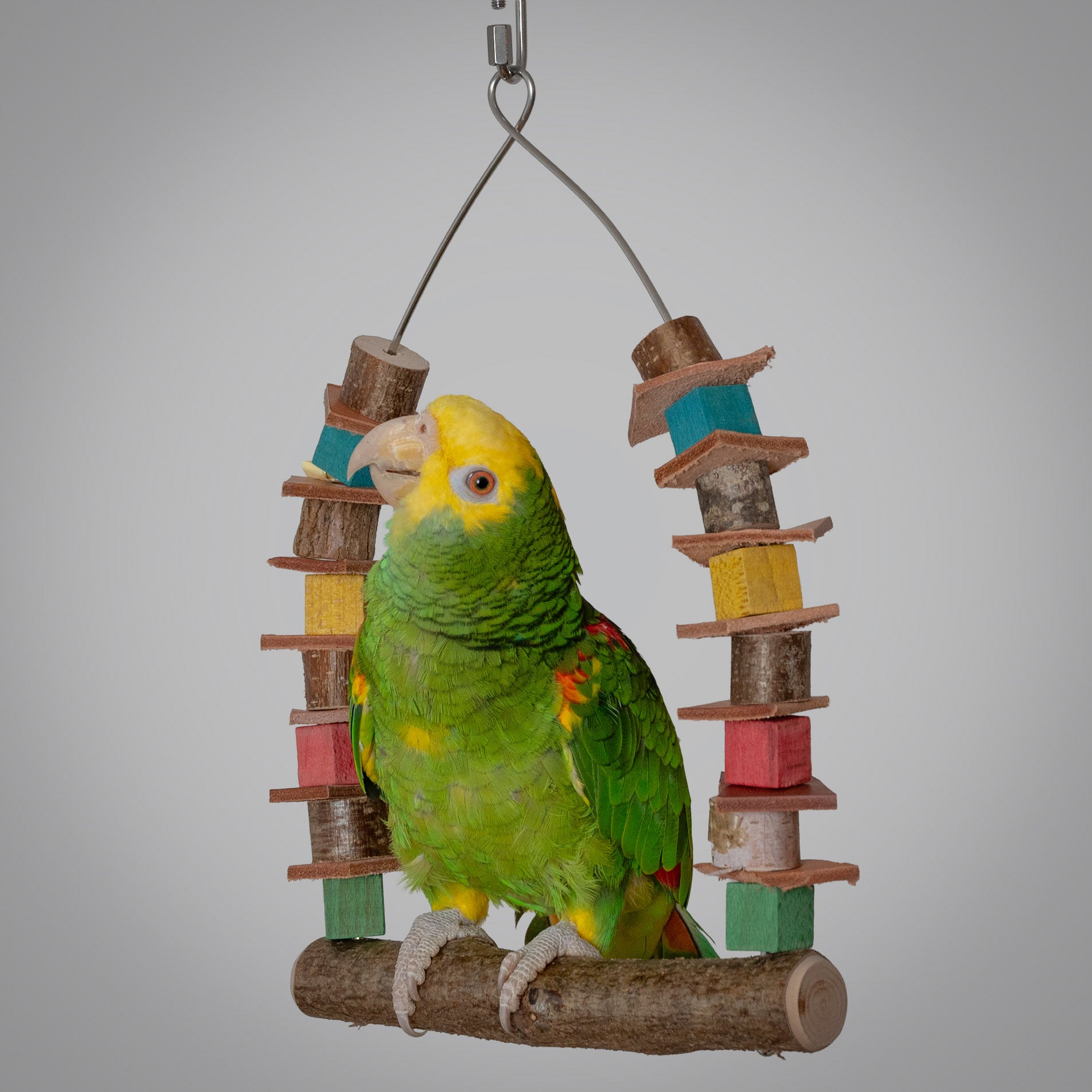rico-s-futterkiste-papageienschaukel-papageienspielzeug-30-cm image 2