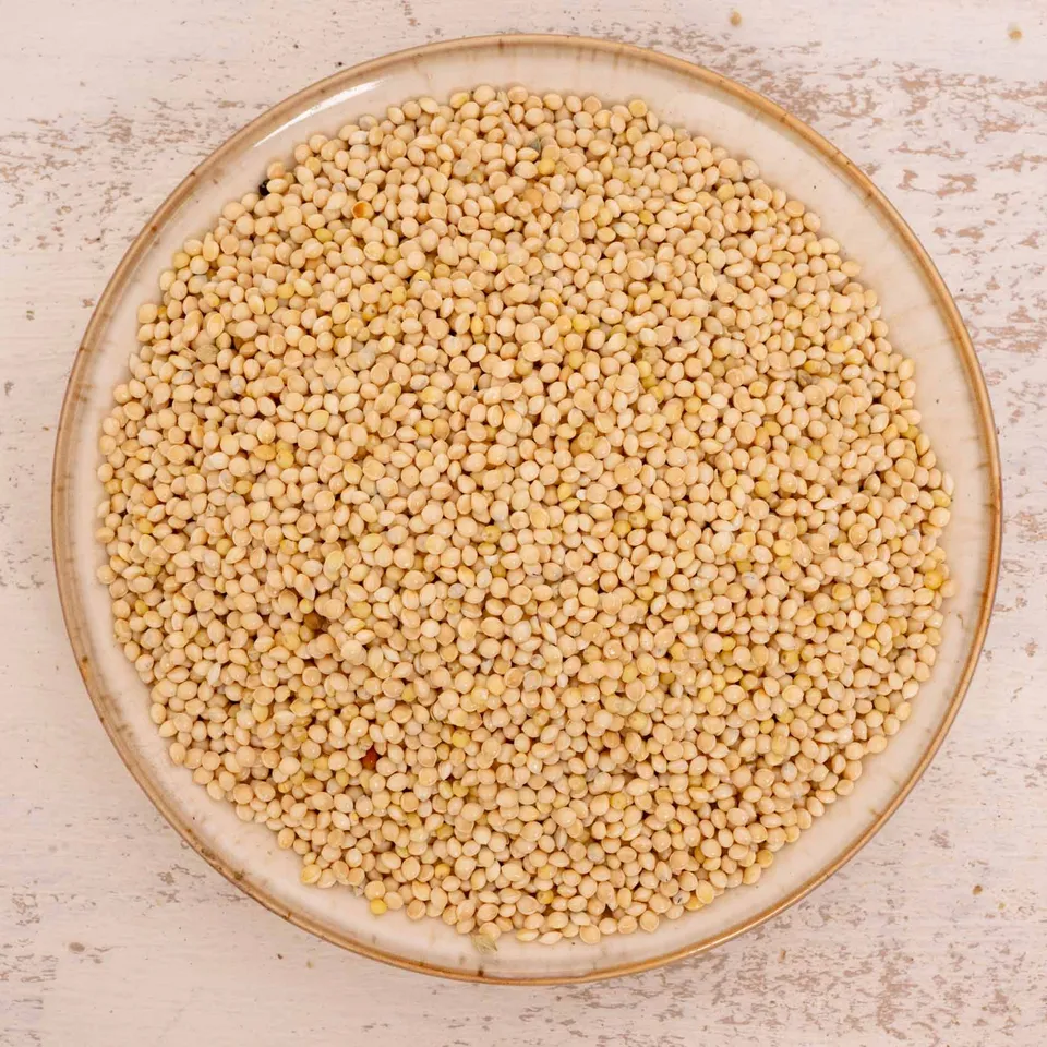 rico-s-futterkiste-silberhirse-lose-vogelfutter-500-g-bek-mmlich image 1