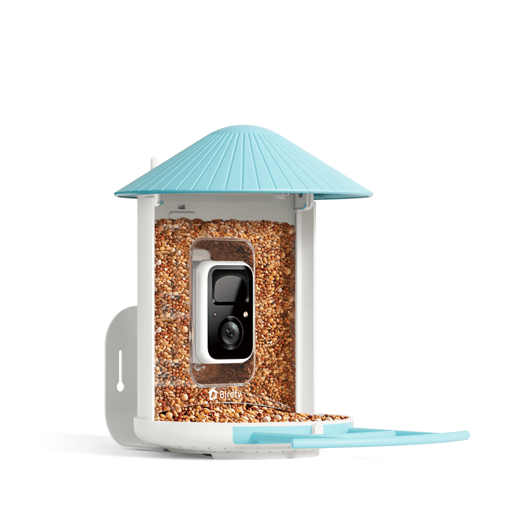 birdfy-feeder-bf1-2k-vogelfutterhaus-mit-kamera-blau-lifetime image 1