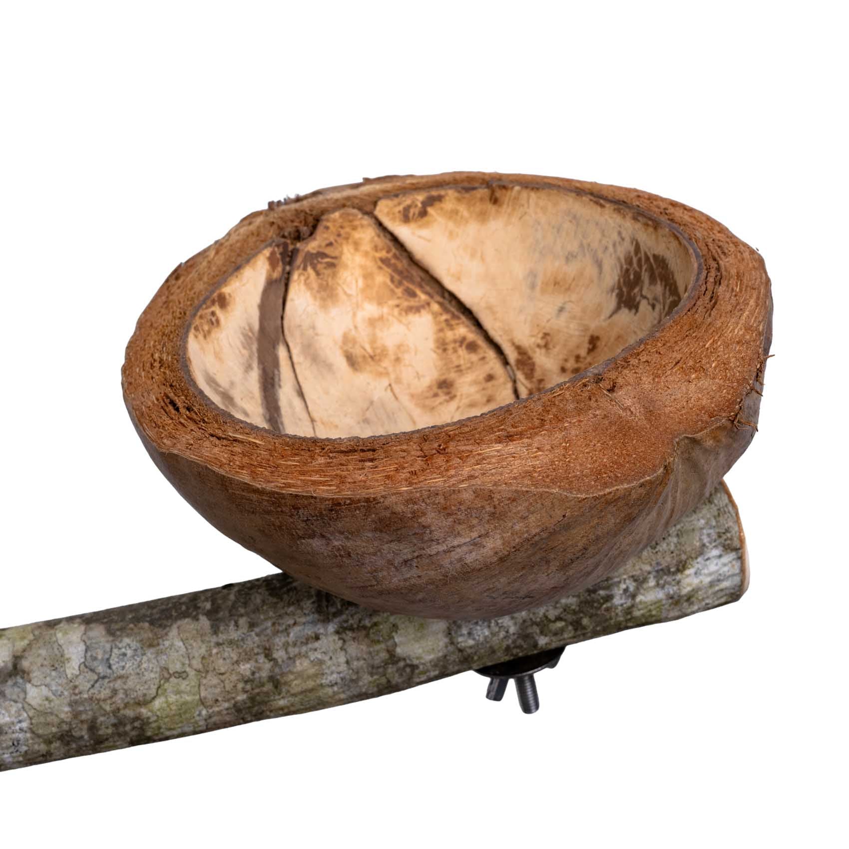 rico-s-futterkiste-sitzast-kokosnuss-futterschale-papagei-holz image 2