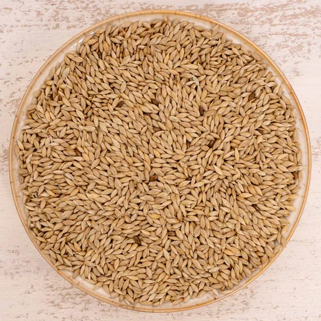 rico-s-futterkiste-kanariensaat-einzelsaat-500-g-proteinreich image 1