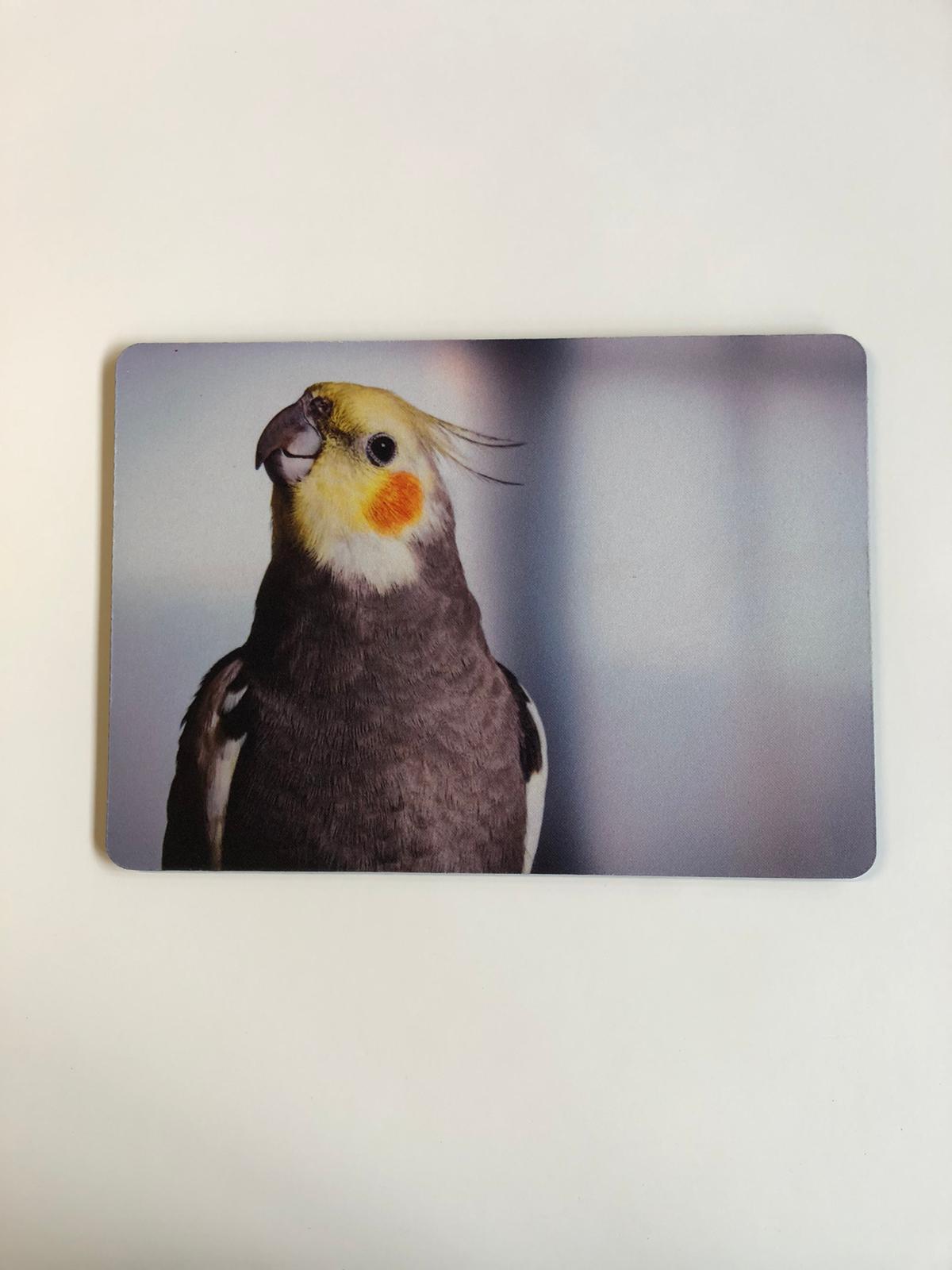 rico-s-futterkiste-tk09-mousepad-nymphensittich-27x19-cm image 1