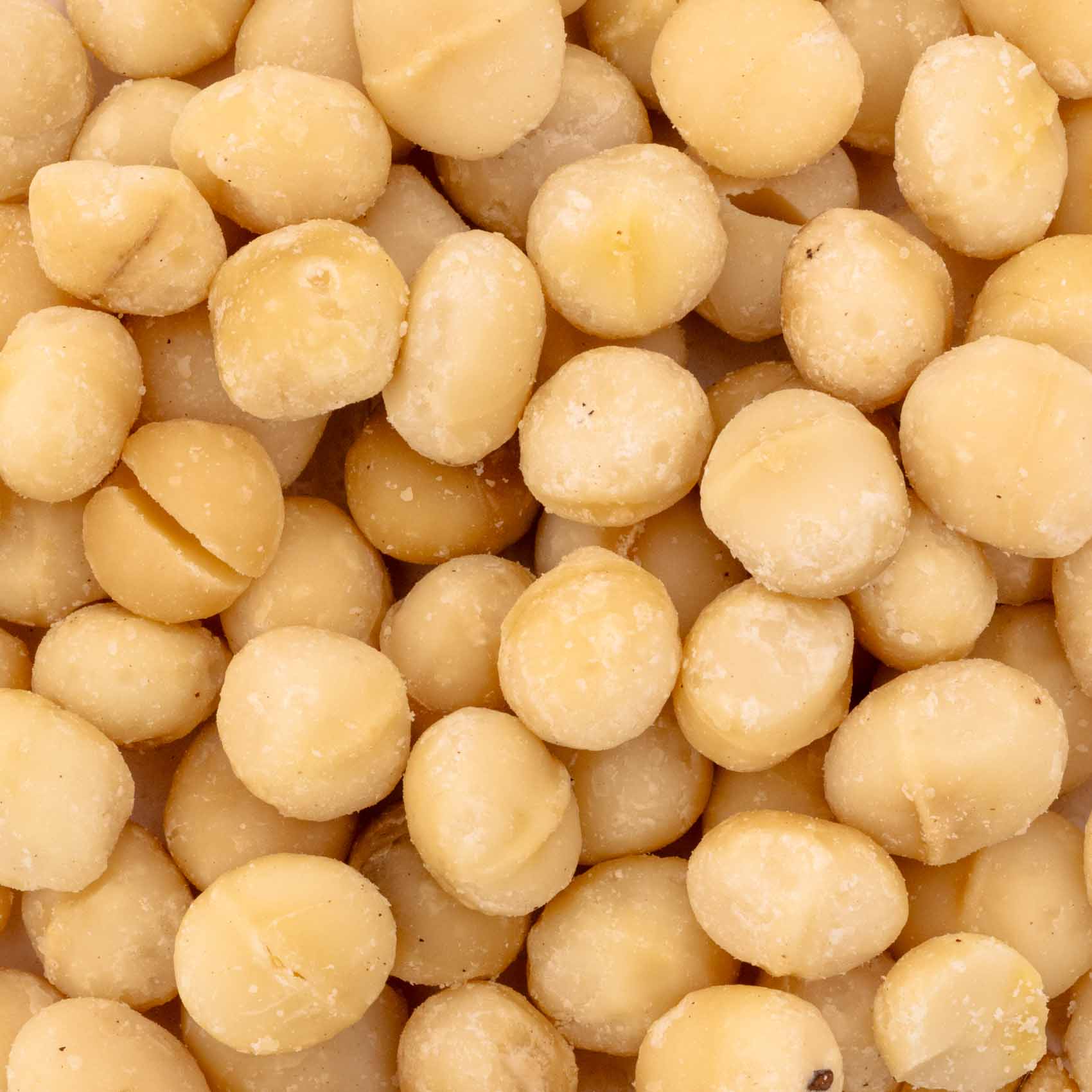 rico-s-futterkiste-macadamia-nusskerne-papageien-100-g image 2