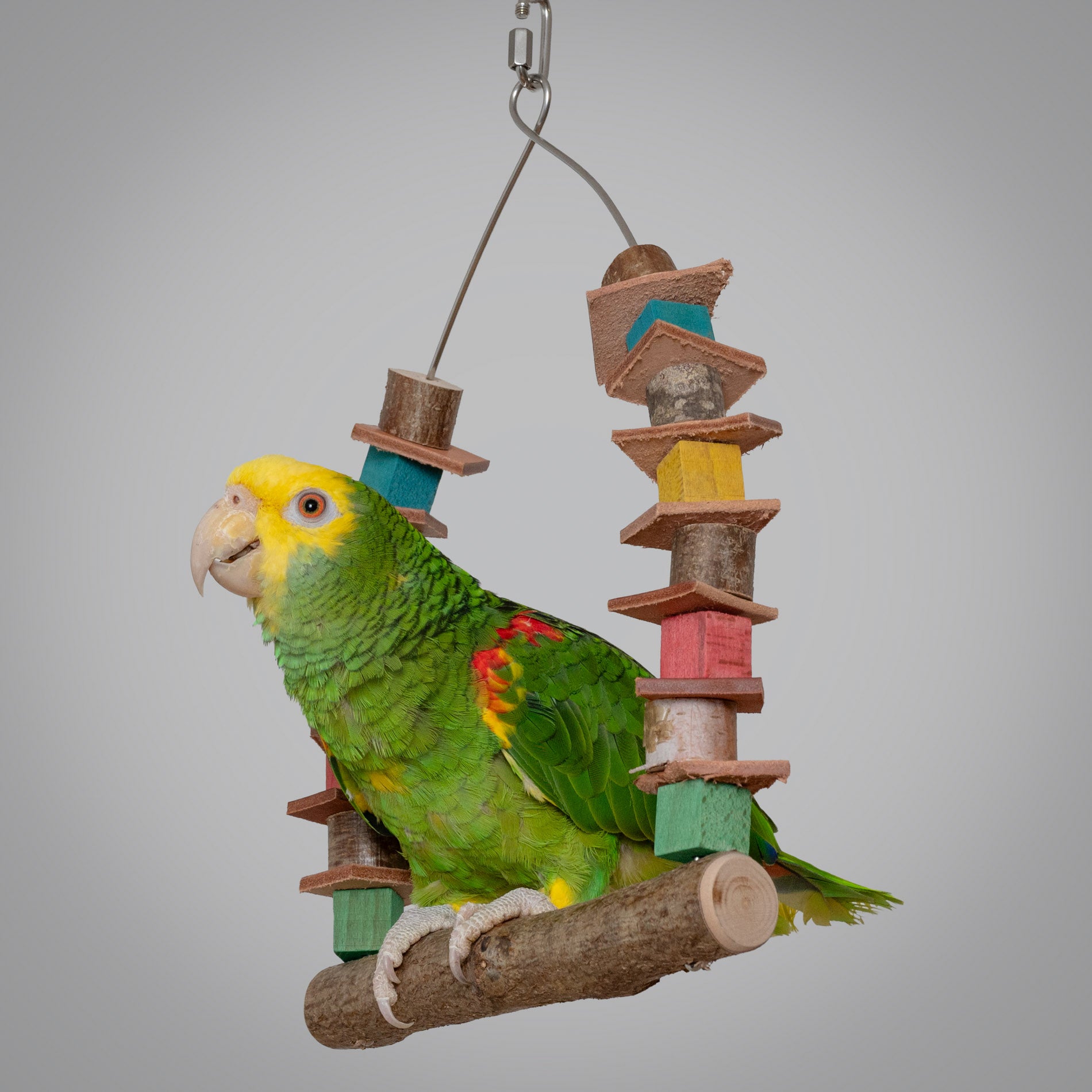 rico-s-futterkiste-papageienschaukel-papageienspielzeug-30-cm image 3