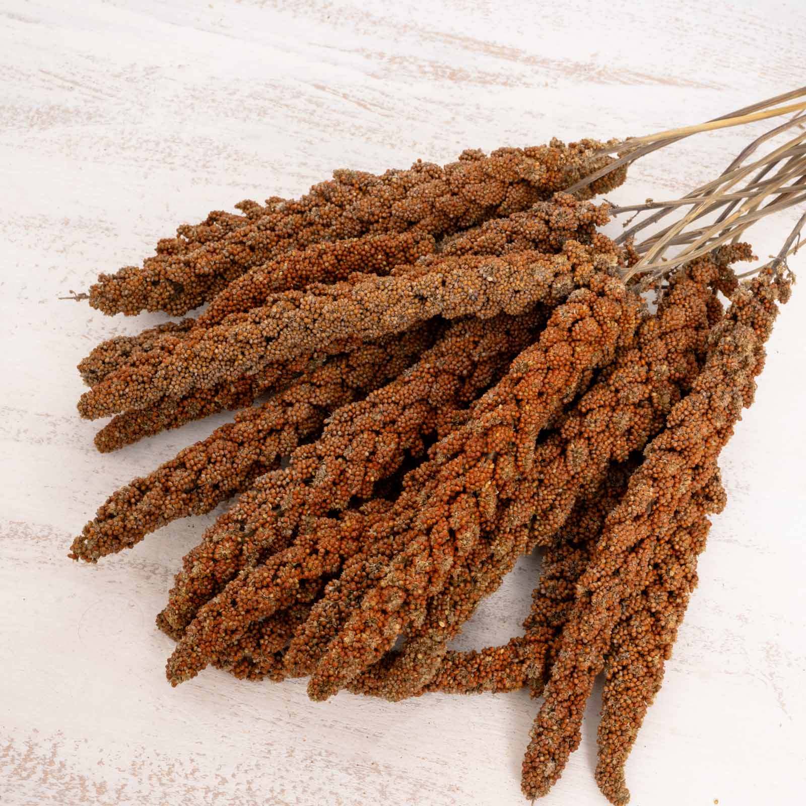 rico-s-futterkiste-rote-hirse-vogelfutter-frankreich-500-g image 3