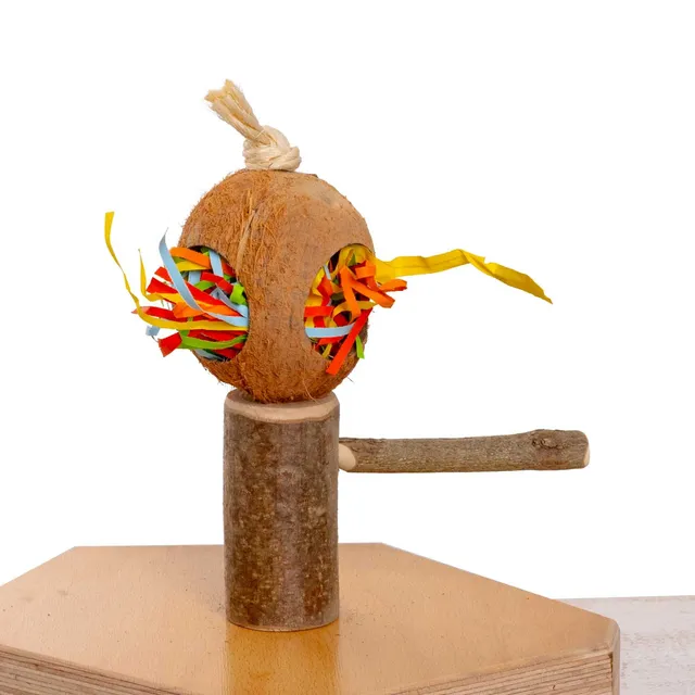 rico-s-futterkiste-knabberbogen-schaukel-sittichspielzeug image 1